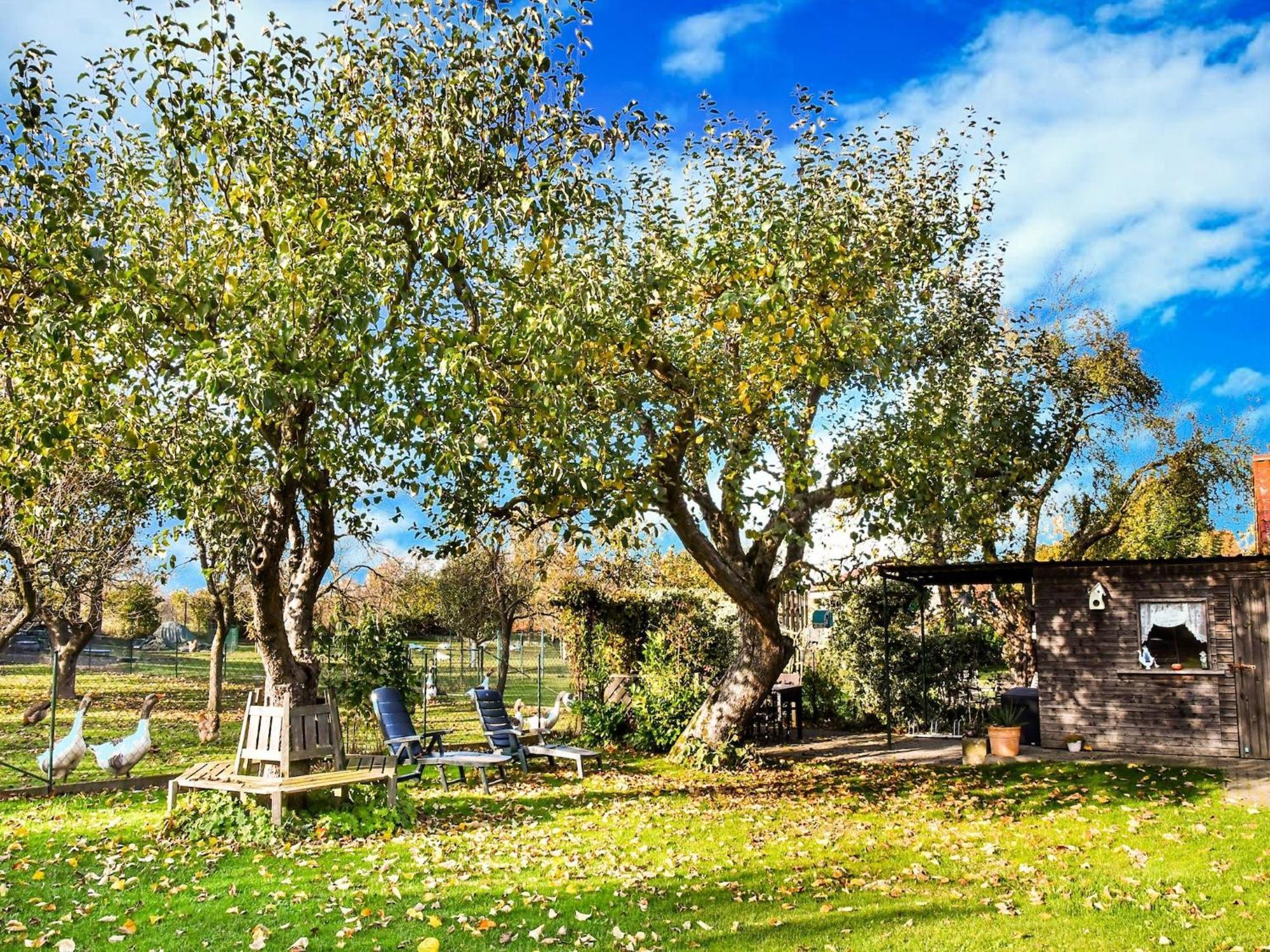 Holiday home Fabulous In Near Sea Thorstorf